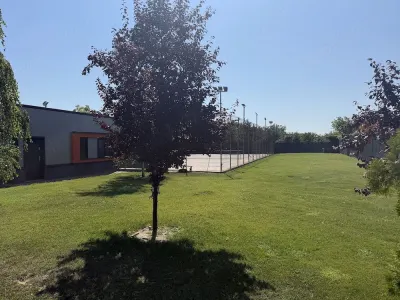 Spațiu comercial Timișoara - poza 9
