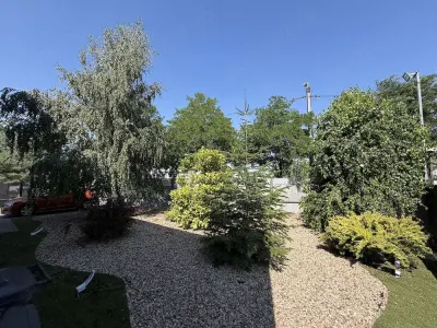 Spațiu comercial Timișoara - poza 10