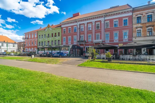 Apartament 2 camere Arad - poza 8