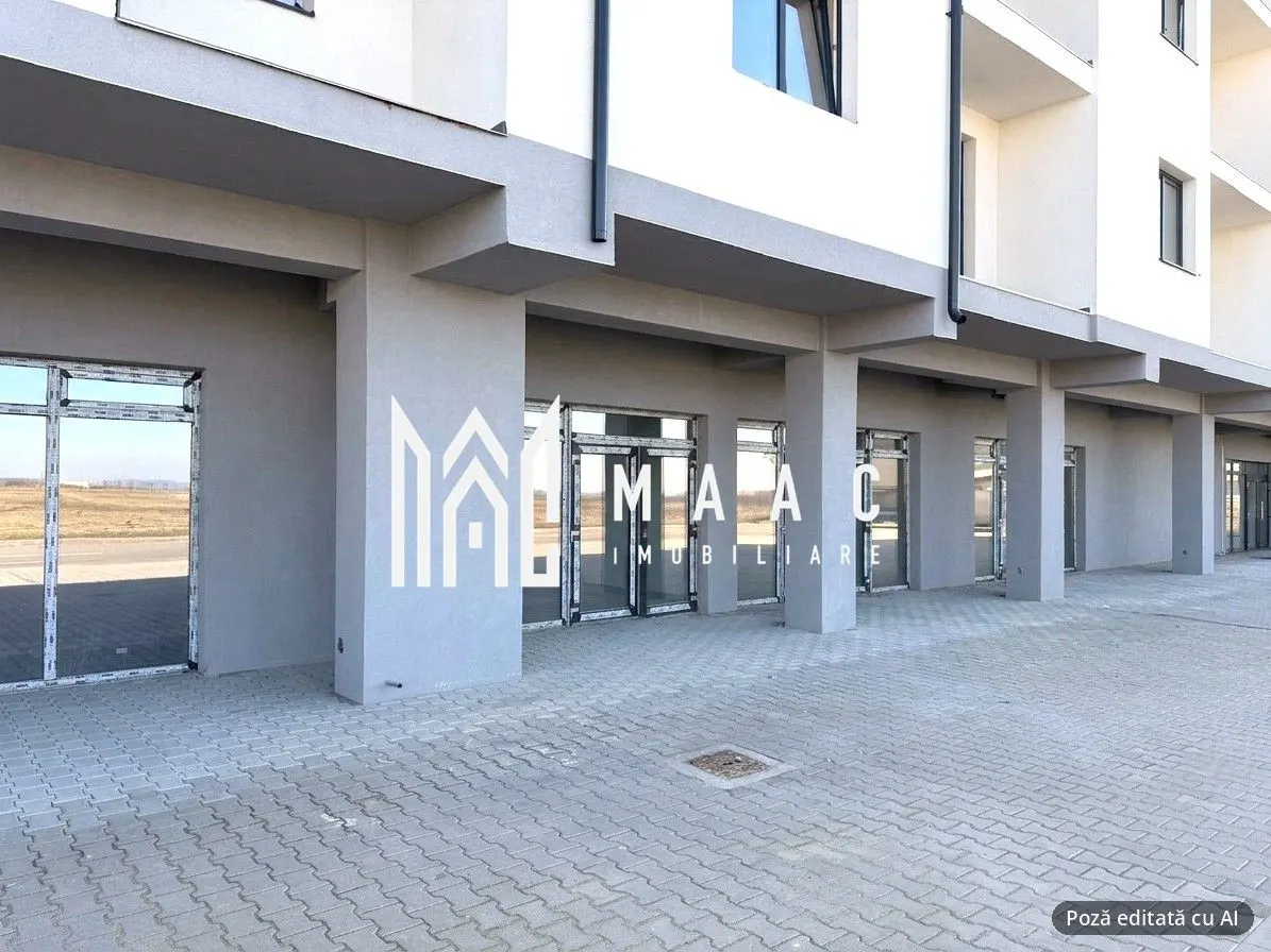 Spațiu comercial Șelimbăr - poza 1