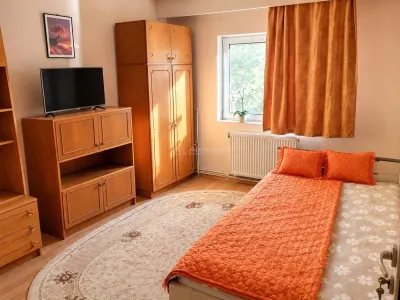 Apartament 4 camere Baia Mare - poza 8