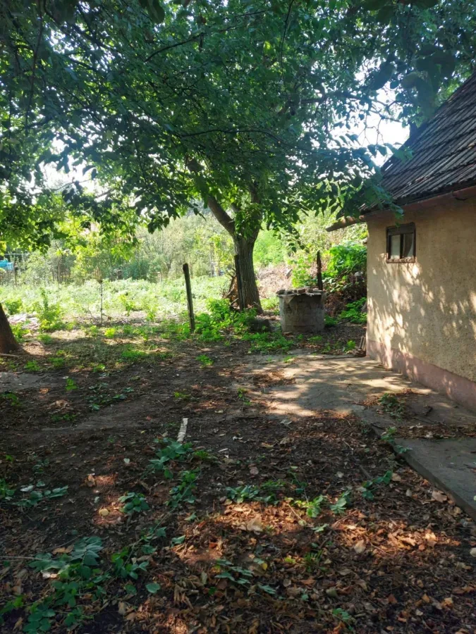 Casă 3 camere Arad - poza 4