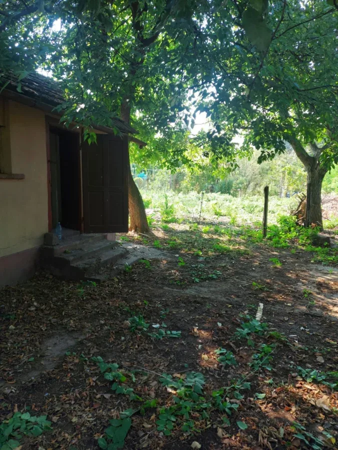 Casă 3 camere Arad - poza 5