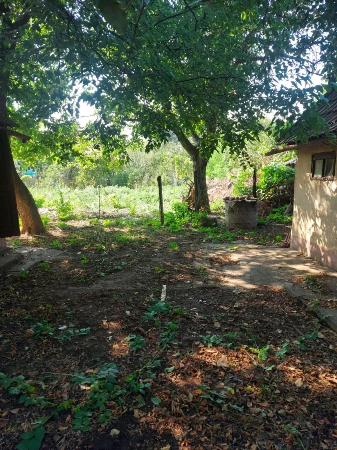 Casă 3 camere Arad - poza 7