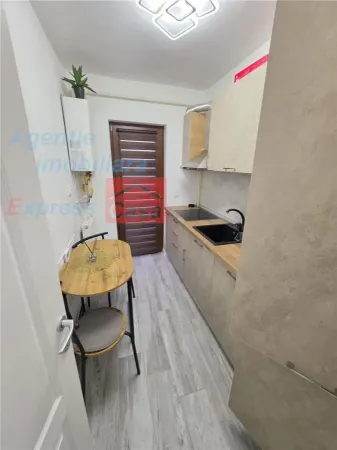 Apartament 1 camera Lunca Cetățuii - poza 2