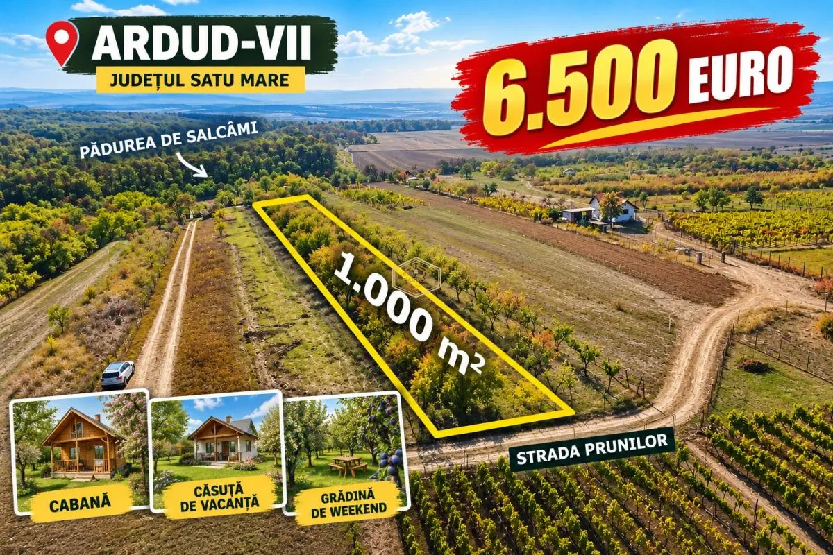 Teren Satu Mare - poza 1