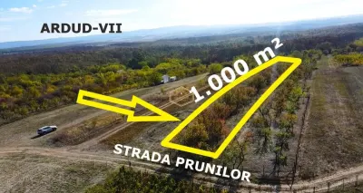 Teren Satu Mare - poza 2