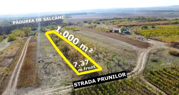 Teren Satu Mare - poza 4