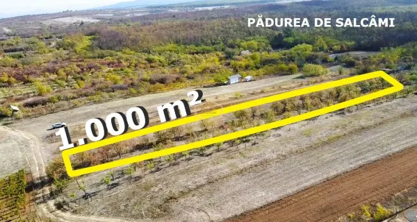 Teren Satu Mare - poza 6