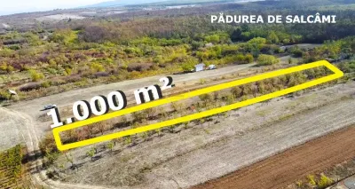 Teren Satu Mare - poza 6