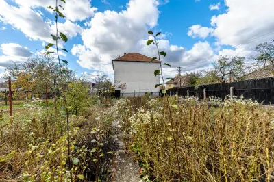 Casă 8 camere Lipova - poza 2