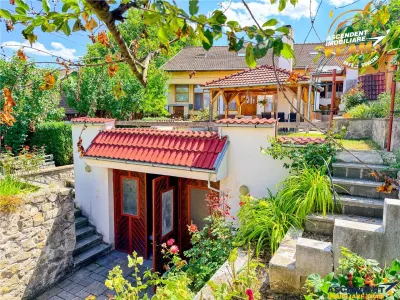 Casă 9 camere Sfântu Gheorghe - poza 6