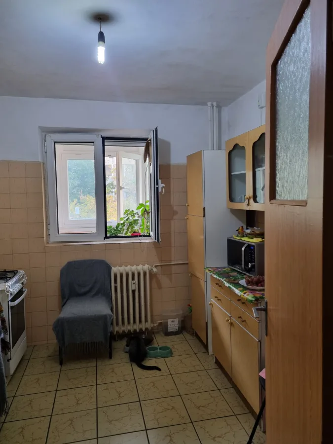 Apartament 3 camere București - poza 4