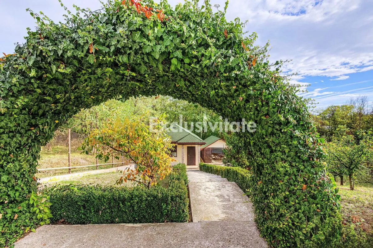Casă 2 camere Colibasi - poza 1
