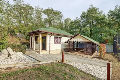Casă 2 camere Colibasi - poza 2
