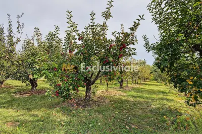 Casă 2 camere Colibasi - poza 13