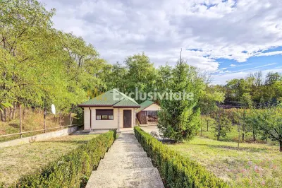 Casă 2 camere Colibasi - poza 14