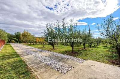 Casă 2 camere Colibasi - poza 4