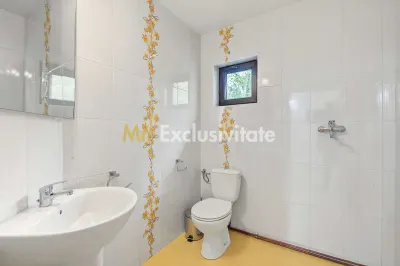 Casă 2 camere Colibasi - poza 7