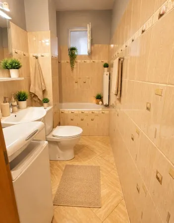 Apartament 2 camere Timișoara - poza 4