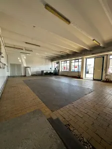 Complex industrial și logistic – aprox. 1.520 mp – spații frigorifice, - Timisoara