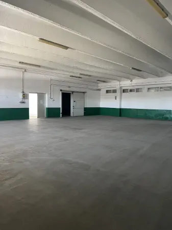 Spațiu industrial Timișoara - poza 16