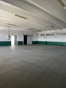 Spațiu industrial Timișoara - poza 16