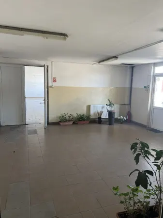 Spațiu industrial Timișoara - poza 23