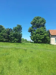 Teren Cheveresu Mare - poza 4