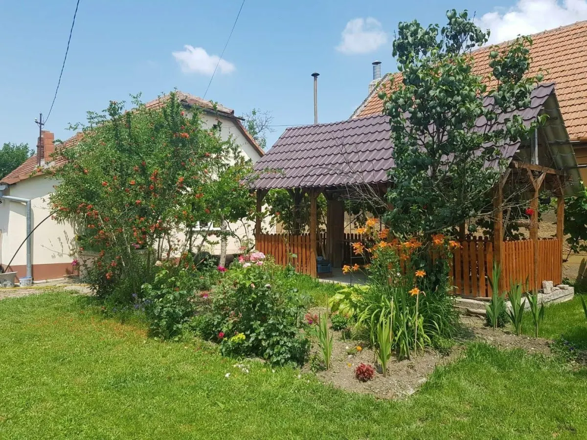 Casă 4 camere Deta - poza 1