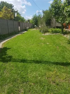 Casă 4 camere Deta - poza 2