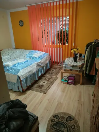 Casă 4 camere Deta - poza 5