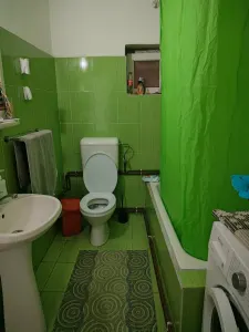 Casă 4 camere Deta - poza 10