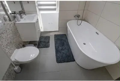Apartament 2 camere Timișoara - poza 4
