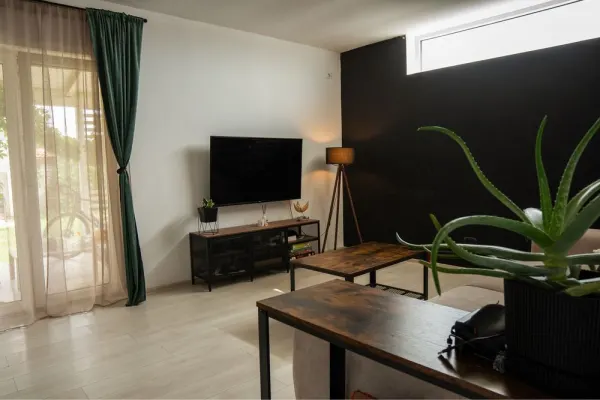 Casă 3 camere Moșnița Nouă - poza 2