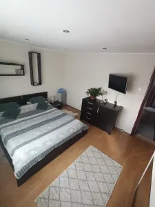 Apartament 2 camere Timișoara - poza 6