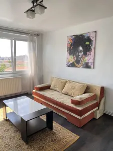 Apartament 2 camere Timișoara - poza 2