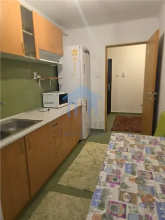 Apartament 1 camera Baciu - poza 8