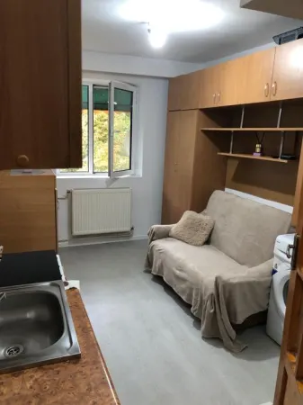 Apartament 1 camera Crang - poza 1