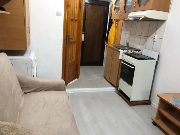 Apartament 1 camera Crang - poza 3