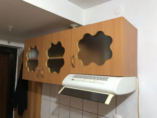 Apartament 1 camera Crang - poza 4