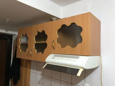 Apartament 1 camera Crang - poza 4