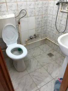 Apartament 1 camera Crang - poza 5