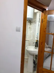 Apartament 1 camera Crang - poza 6