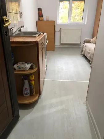 Apartament 1 camera Crang - poza 7