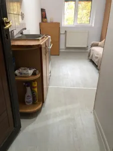 Apartament 1 camera Crang - poza 7