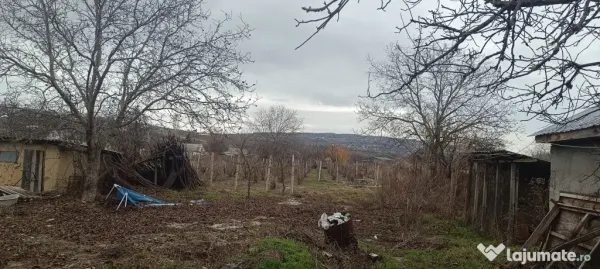 Teren Tomești - poza 5