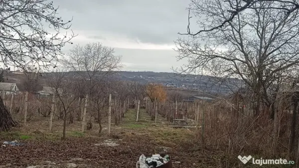 Teren Tomești - poza 6