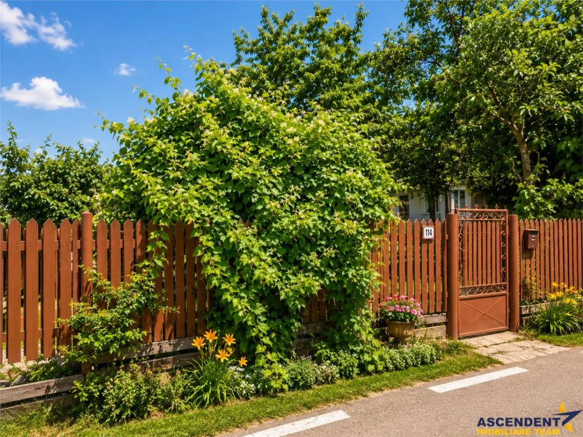 Casă 3 camere Malu Vanat - poza 1