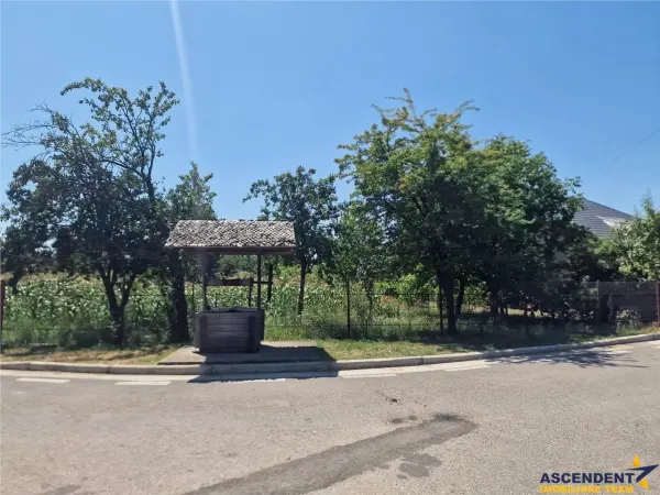 Casă 3 camere Malu Vanat - poza 3